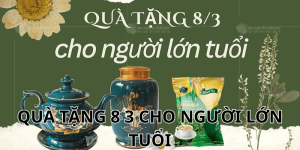 quà tặng 8 3 cho người lớn tuổi